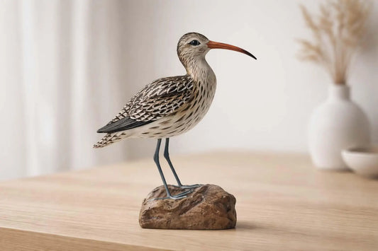 Curlew On Tree Trunk